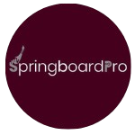 SpringboardPro Edge | Strategic Portfolio Management | Project ...